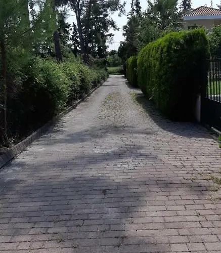 Villa-danos * Афитос